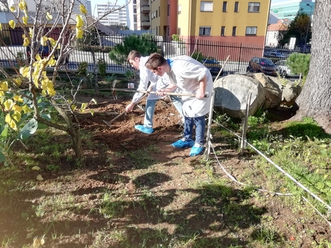 Os alunos escavaram um buraco para colocarem as folhas secas da horta. Será um local de compostagem.
